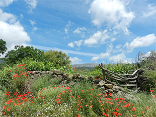 Vista desde Las Malenas