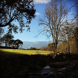 Vista desde Siete Cantos