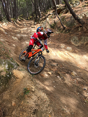 Descenso con bicis de montaña