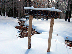 Castañar de la Angostura nevado