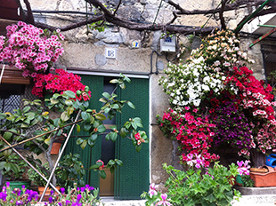 Jardines verticales en las fachadas del pueblo